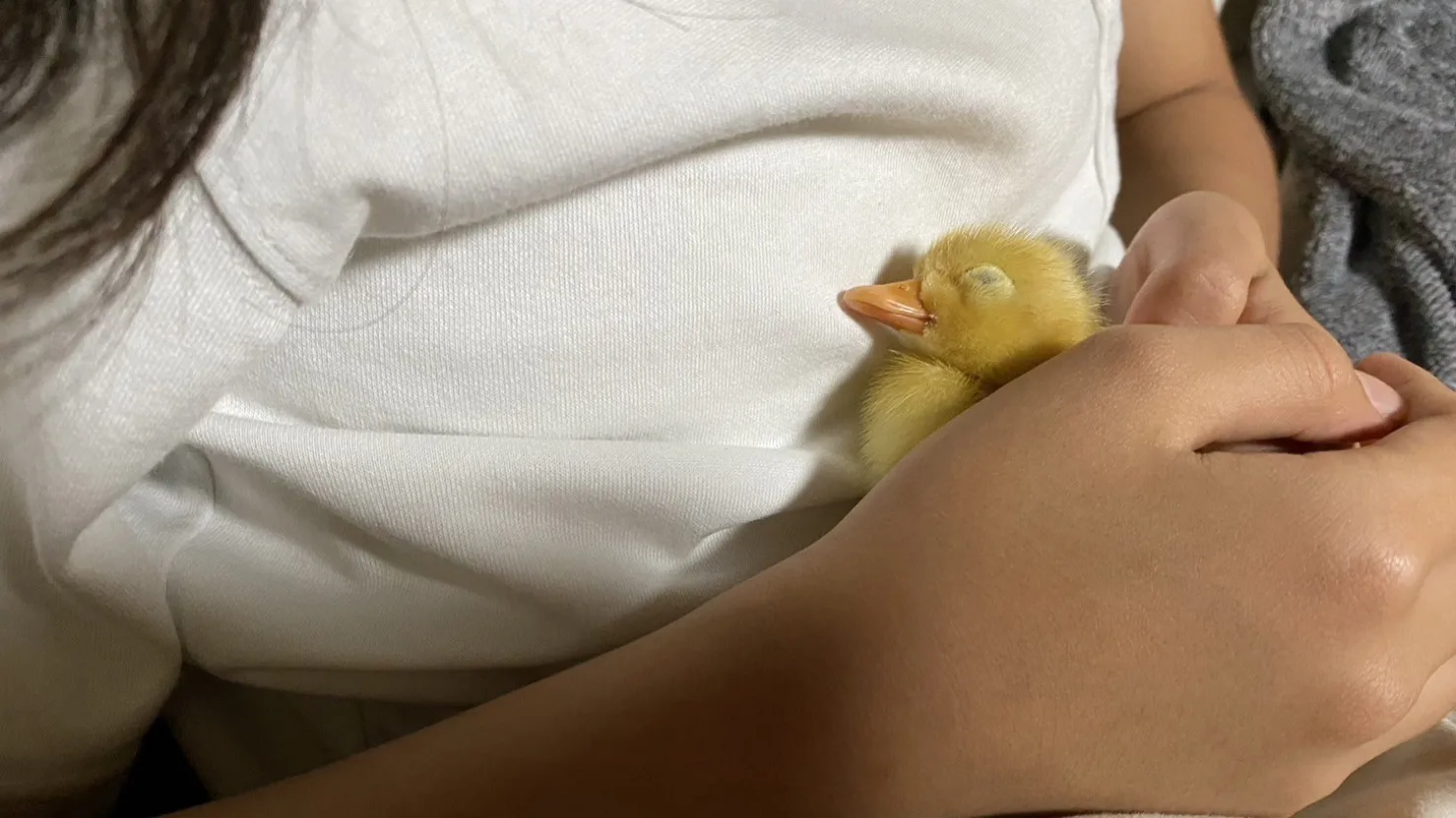 30代女性イラスト