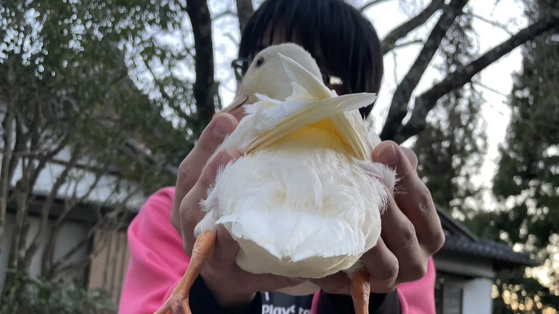 家族